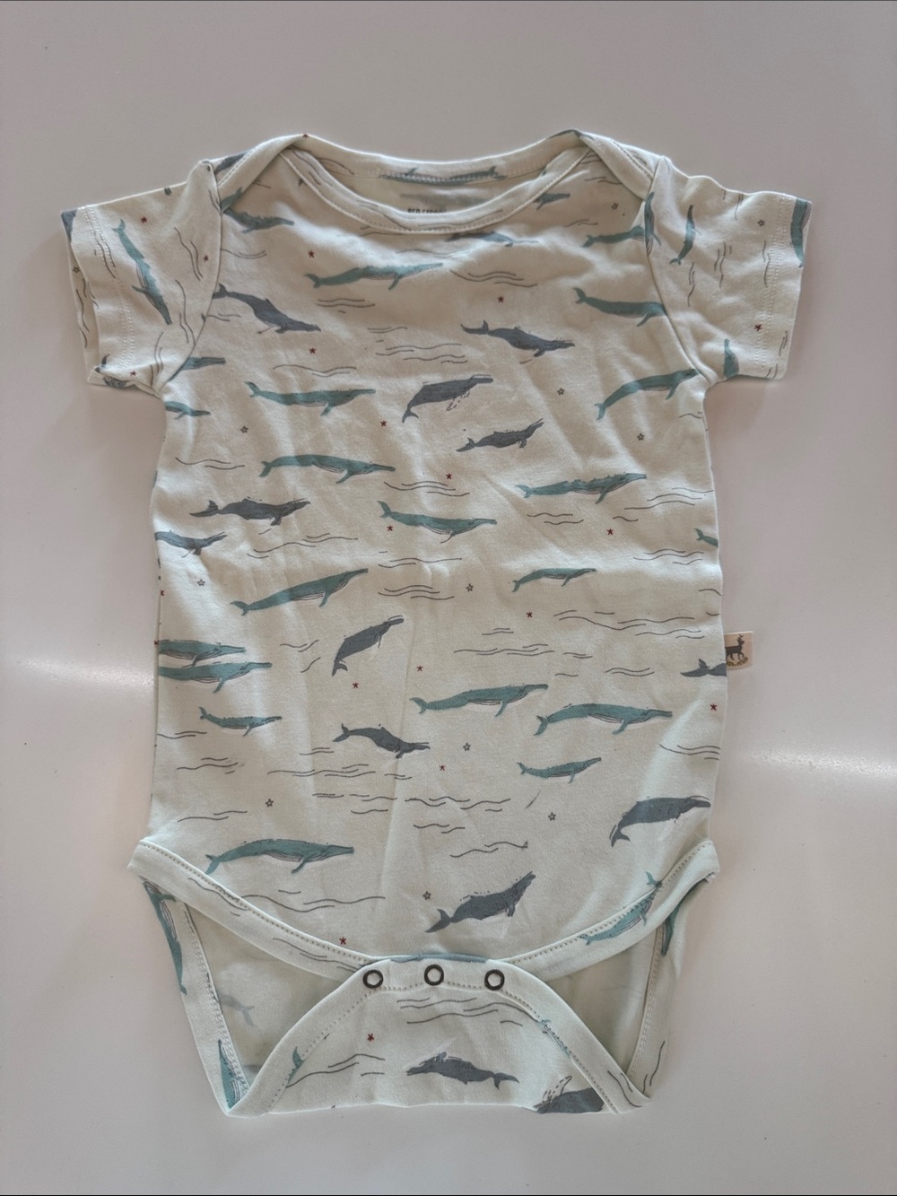 Whale Print Baby Bodysuit in Light Aqua by new without tag